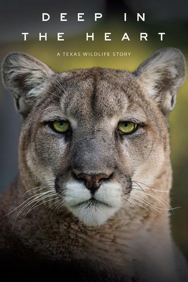 Deep in the Heart: A Texas Wildlife Story