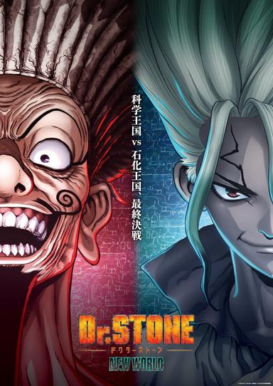 Dr. Stone